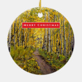 Schöne Landschaftliche Aspen Tree Grove Keramik Ornament (Hinten)