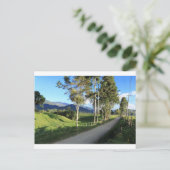 Schöne Landstraße Salento Kolumbien Postkarte (Stehend Vorderseite)