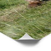 Schöne, langgestreckte Kuh in Grasplakat entspanne Poster (Ecke)