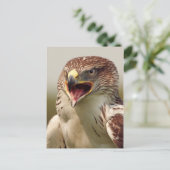 Schöne Lanner Falcon Postcard Postkarte (Stehend Vorderseite)