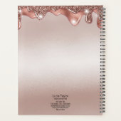 Schöne Lashes Augen Rose Gold Tropfen Make eup mäd Planer (Rückseite)