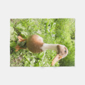 Schöne Läufer-Enten-Fleece-Decke Fleecedecke (Vorderseite (Horizontal))