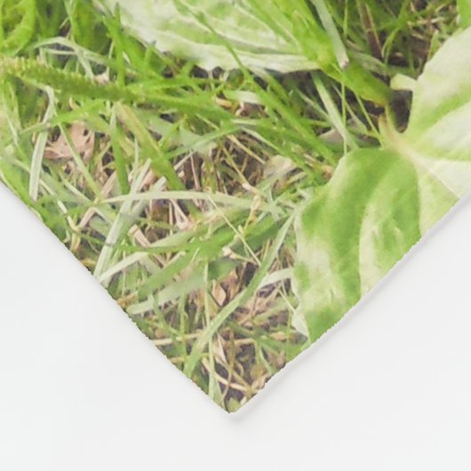 Schöne Läufer-Enten-Fleece-Decke Fleecedecke (Ecke)