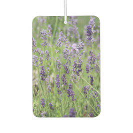 Schöne Lavendel Autolufterfrischer