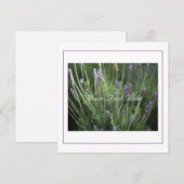 Schöne Lavendel Blume Ihrer Textflatterkarte (Vorne/Hinten)