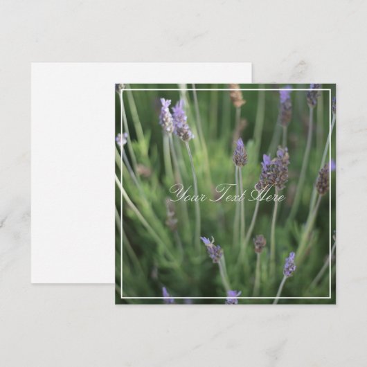 Schöne Lavendel Blume Ihrer Textflatterkarte (Vorne/Hinten)