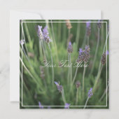 Schöne Lavendel Blume Ihrer Textflatterkarte (Vorderseite)