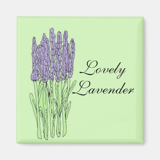 Schöne Lavendel Magnet (Vorne)