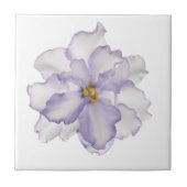 Schöne Lavendel-Orchidee auf Weiß Fliese (Vorderseite)