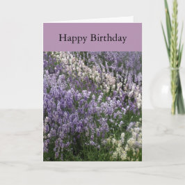 Schöne Lavender Happy Birthday Card Karte