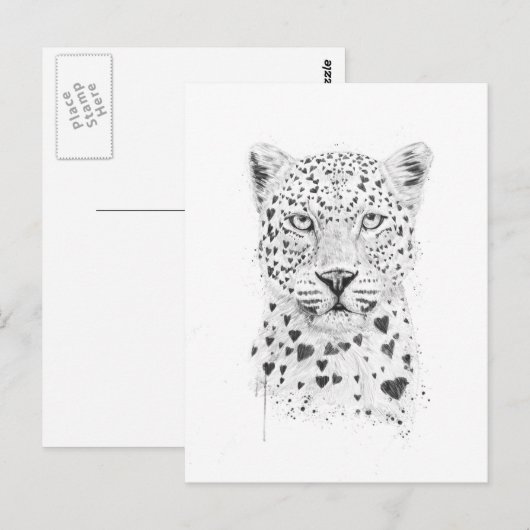 Schöne Leopard Postkarte (Vorne/Hinten)