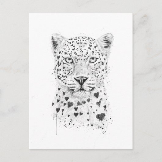 Schöne Leopard Postkarte (Vorderseite)