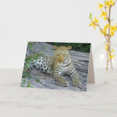 schöne Leopardengrüße Karte (Gelbe Blume)