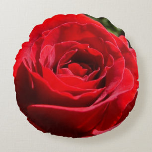 Schöne leuchtend rote Rosenblume Blumen Rundes Kissen