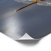 Schöne Libelle Nah über Wasser Fotodruck (Ecke)