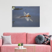 Schöne Libelle Nah über Wasser Leinwanddruck (Insitu (Wohnzimmer))