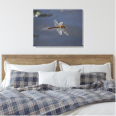 Schöne Libelle Nah über Wasser Leinwanddruck (Insitu (Schlafzimmer))