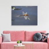 Schöne Libelle Nah über Wasser Leinwanddruck (Insitu (Wohnzimmer))