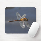 Schöne Libelle Nah über Wasser Mousepad (Mit Mouse)