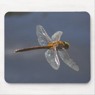 Schöne Libelle Nah über Wasser Mousepad