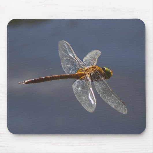 Schöne Libelle Nah über Wasser Mousepad (Vorne)