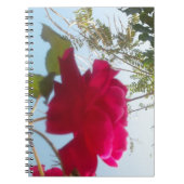 Schöne, liebevolle Rose des Himmeles: Rot gegen Bl Notizblock (Vorderseite)