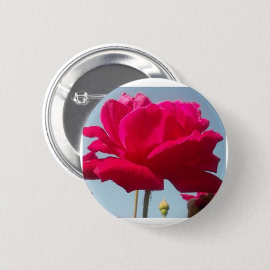 Schöne, liebevolle Rose Rot gegen Blau Button (Vorne & Hinten)