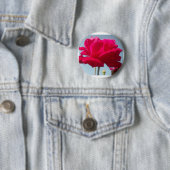 Schöne, liebevolle Rose Rot gegen Blau Button (Beispiel)