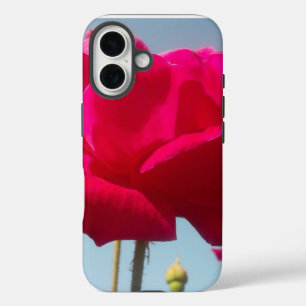 Schöne, liebevolle Rose Rot gegen Blau iPhone 16 Hülle