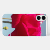 Schöne, liebevolle Rose Rot gegen Blau Case-Mate iPhone Hülle (Rückseite (Horizontal))