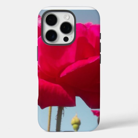Schöne, liebevolle Rose Rot gegen Blau Case-Mate iPhone Hülle (Rückseite)