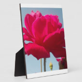 Schöne, liebevolle Rose Rot gegen Blau Fotoplatte (Seite)