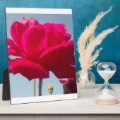 Schöne, liebevolle Rose Rot gegen Blau Fotoplatte (Seite)