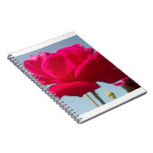 Schöne, liebevolle Rose Rot gegen Blau Notizblock (Rechte Seite)