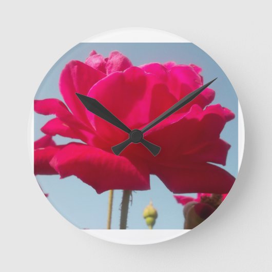 Schöne, liebevolle Rose Rot gegen Blau Runde Wanduhr (Vorderseite)