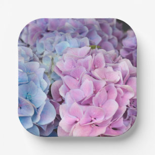 Schöne Lila, blaue, rosa Hydrangea-Blume Pappteller