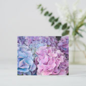 Schöne Lila, blaue, rosa Hydrangea-Blume Postkarte (Stehend Vorderseite)