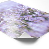 Schöne Lila Blume blüht floral Fotodruck (Ecke)