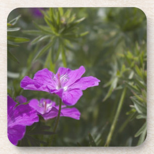 Schöne lila Blume Getränkeuntersetzer