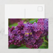 Schöne lila Blume Postkarte (Vorne/Hinten)