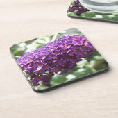 Schöne Lila Buddleia Blume Cork Untersetzer (Linke Seite)