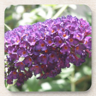 Schöne Lila Buddleia Blume Cork Untersetzer