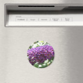 Schöne Lila Buddleia Blume Magnet (In Situ (Geschirrspüler))