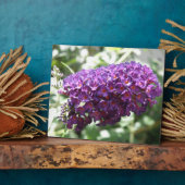Schöne Lila Buddleia Blume Plaque Fotoplatte (Seite)