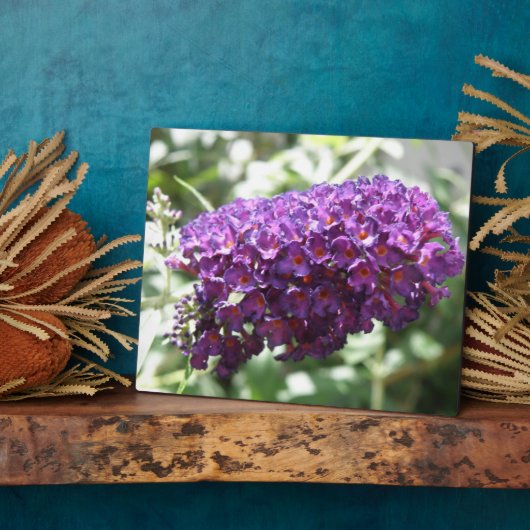 Schöne Lila Buddleia Blume Plaque Fotoplatte (Seite)