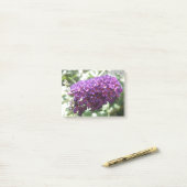Schöne Lila Buddleia-Blume Post it notes Post-it Klebezettel (Auf Schreibtisch)
