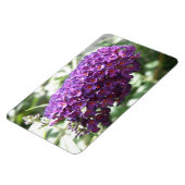 Schöne Lila Buddleia Blume Premium Magnet (Linke Seite)