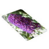 Schöne Lila Buddleia Blume Premium Magnet (Rechte Seite)