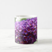 Schöne Lila Buddleia Blume Tasse (Mittel)