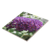 Schöne Lila Buddleia Blume Tile Fliese (Seite)